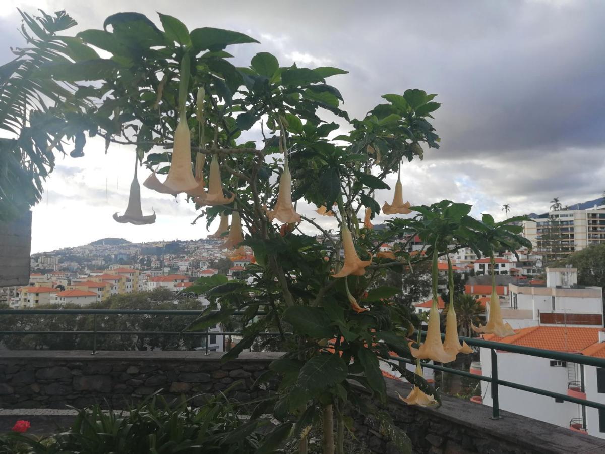 Casa Vanday Funchal  Exterior photo